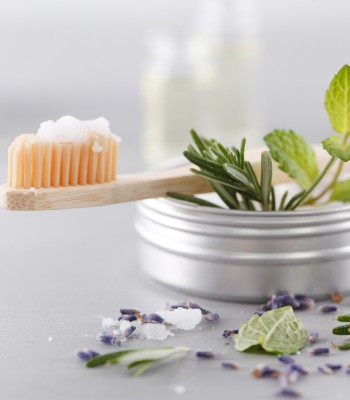 ERVAS E SAÚDE BUCAL: OPÇÕES NATURAIS NO CUIDADO DAS DOENÇAS ORAIS