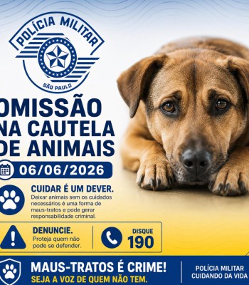 OMISSÃO NA CAUTELA DE ANIMAIS DE 06/06/2026