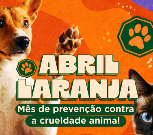 ABRIL LARANJA SEGUE COM AÇÕES VOLTADAS AO BEM-ESTAR ANIMAL EM LEME}