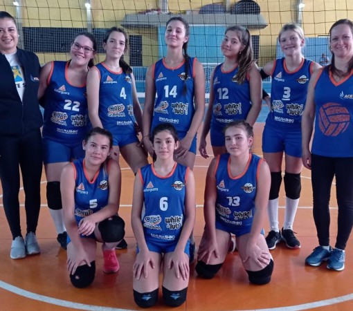 Voleibol Feminino}