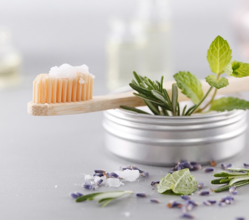 ERVAS E SAÚDE BUCAL: OPÇÕES NATURAIS NO CUIDADO DAS DOENÇAS ORAIS}