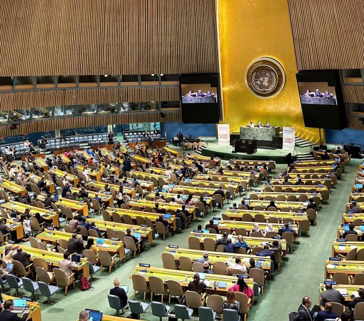 NA ONU, LBV FAZ RECOMENDAÇÕES DE SUAS BOAS PRÁTICAS DURANTE FÓRUM POLÍTICO DE ALTO NÍVEL SOBRE DESENVOLVIMENTO SUSTENTÁVEL}