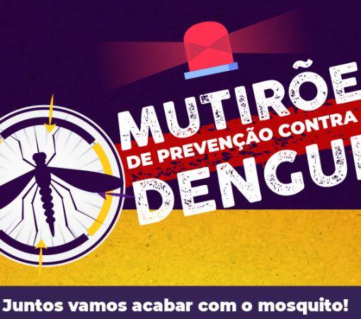 A Importância dos Mutirões contra o Aedes aegypti}