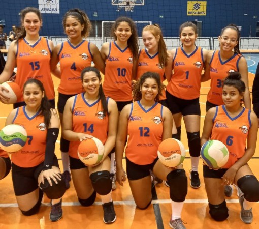 Voleibol Feminino}