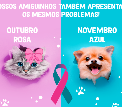 Outubro Rosa e Novembro Azul para PETs}