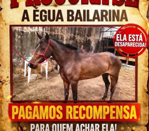 PROCURA-SE BAILARINA}