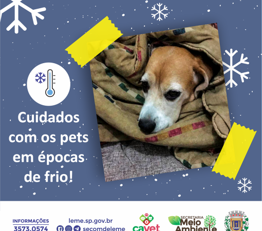 Cuidados com os pets em épocas de frio}