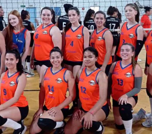 Voleibol – Campeonato APV}