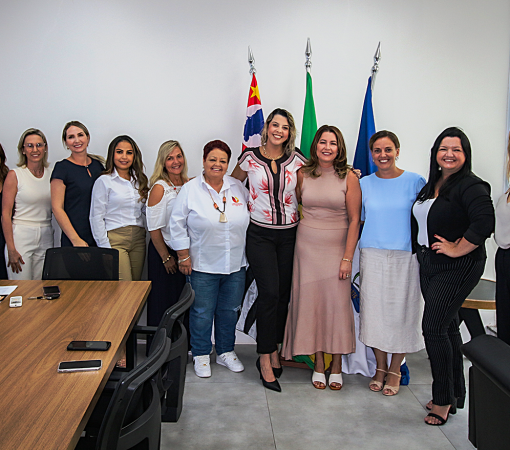 POSSE DA DIRETORIA DO FUNDO SOCIAL DE SOLIDARIEDADE}