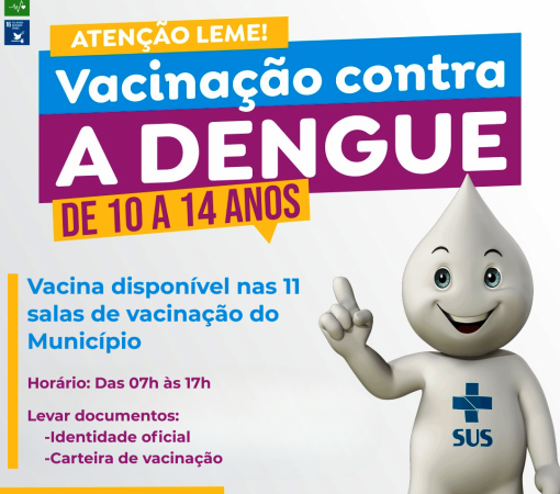 IMPORTÂNCIA DA VACINAÇÃO CONTRA A DENGUE}