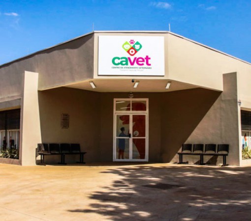 CAVET SE CONSOLIDA COMO REFERÊNCIA EM ATENDIMENTO VETERINÁRIO PÚBLICO EM LEME}