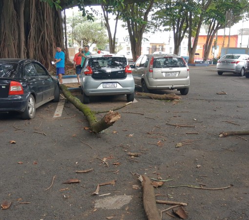 Árvore da Praça da Escola Maria Joaquina cai e danifica carros estacionados no local}