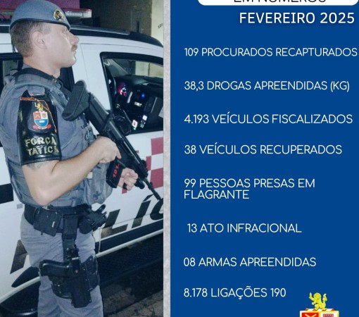 OPERAÇÃO DE SEGURANÇA PÚBLICA RESULTA EM AÇÕES SIGNIFICATIVAS NO COMBATE AO CRIME.}