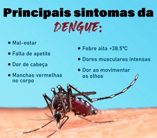 EPIDEMIA DE DENGUE PREOCUPA MUNICÍPIOS EM TODO O BRASIL}