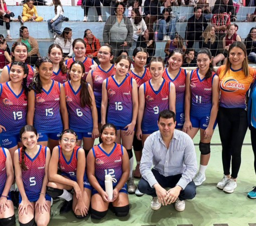 FESTIVAL DE VÔLEI PRÉ-MIRIM}
