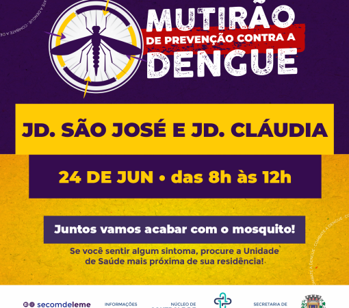 Mutirão contra o Aedes aegypti}