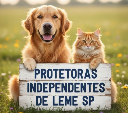 CARNAVAL COM RESPONSABILIDADE TAMBÉM É COM SEU PET}