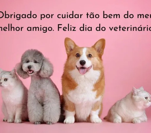 DIA DO MÉDICO VETERINÁRIO - GUARDIÕES DA VIDA E DA SAÚDE}