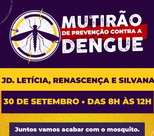 Mutirão contra o Aedes aegypti nos Bairros Jardins Letícia, Renascença e Silvana dia 30 de Setembro}