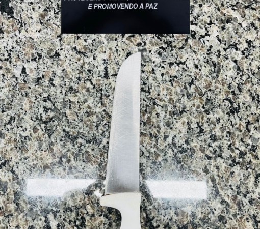 VIOLÊNCIA DOMÉSTICA / AMEAÇA DE 13/11/2025}