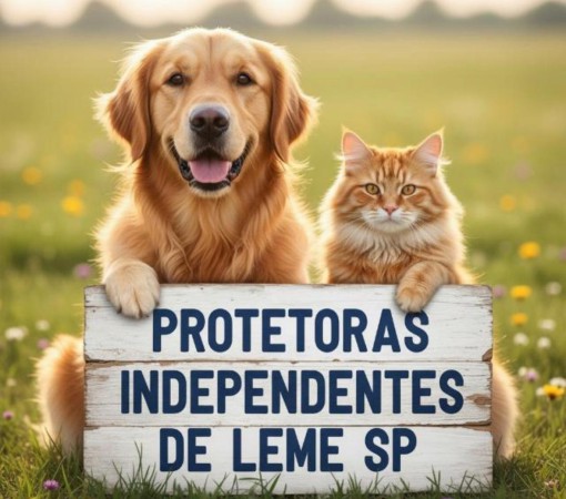 GRATIDÃO QUE ALIMENTA VIDAS}