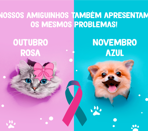 Outubro Rosa e Novembro Azul para PETs}