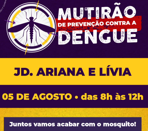 Mutirão contra o Aedes aegypti nos Bairros Jardins Ariana e Lívia acontecerá no dia 05 de Agosto}