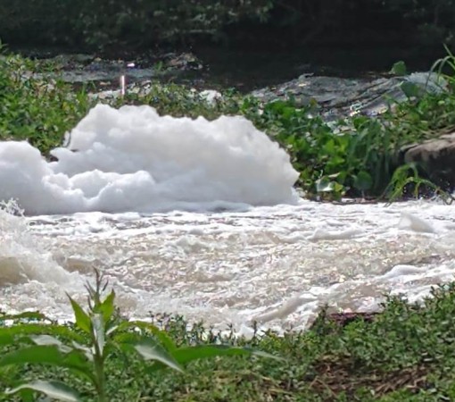 ARARAS ESTÁ MATANDO O RIO MOGI GUAÇU}