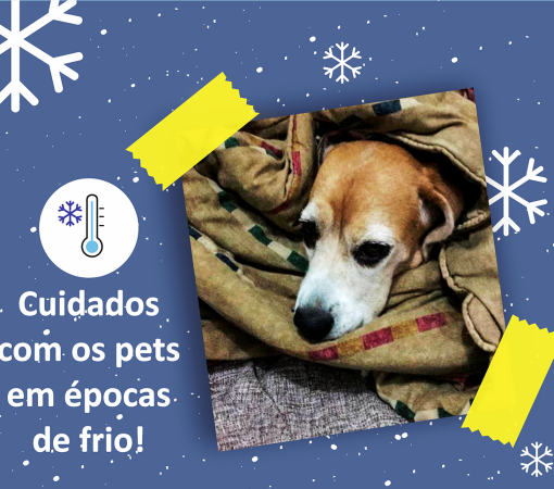 ATENÇÃO AOS CUIDADOS COM OS PETS EM ÉPOCAS DE FRIO}