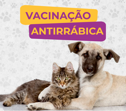 Vacinação Antirrábica}