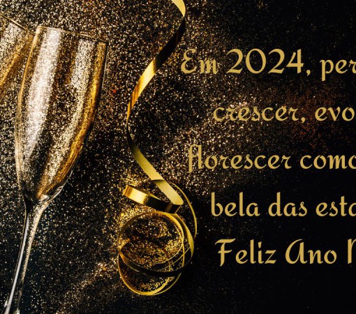 FELIZ ANO NOVO}