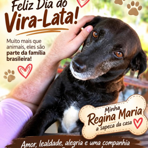 DIA DO VIRA-LATA: AMOR, FIDELIDADE E GRATIDÃO EM QUATRO PATAS}