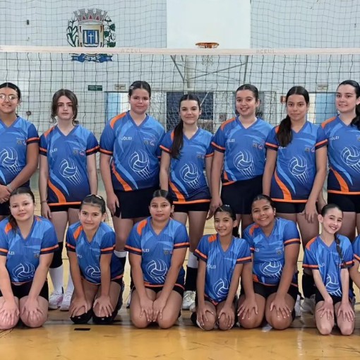 VÔLEI LEME ACEUL RECEBE FESTIVAL DA APV EM LEME}
