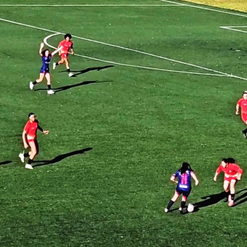 LEMENSE ENFRENTA ADVERSÁRIOS TRADICIONAIS E SEGUE EM BUSCA DE EVOLUÇÃO NO PAULISTA SUB-20}