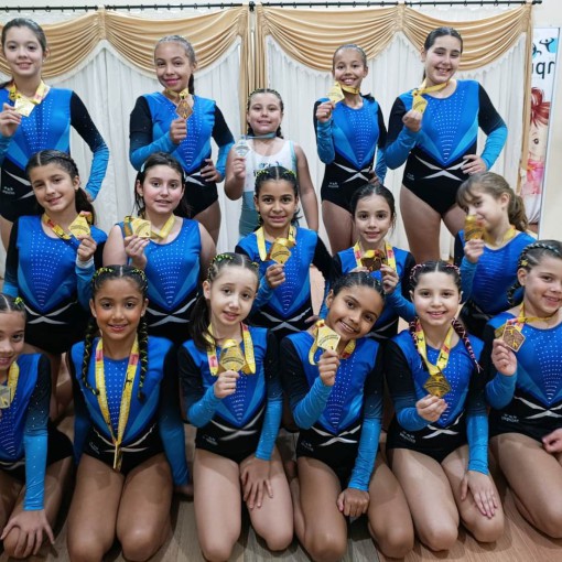 GINASTAS DE LEME CONQUISTAM EXCELENTES RESULTADOS EM COMPETIÇÃO ESTADUAL