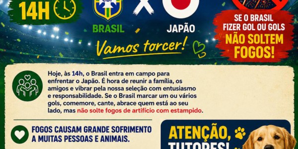 BRASIL EM CAMPO: TORÇA COM ALEGRIA, COMEMORE COM RESPEITO E SEM FOGOS!