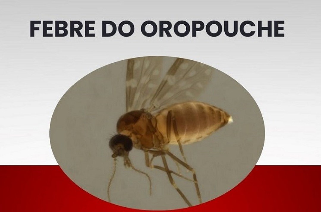 FEBRE DO OROPOUCHE