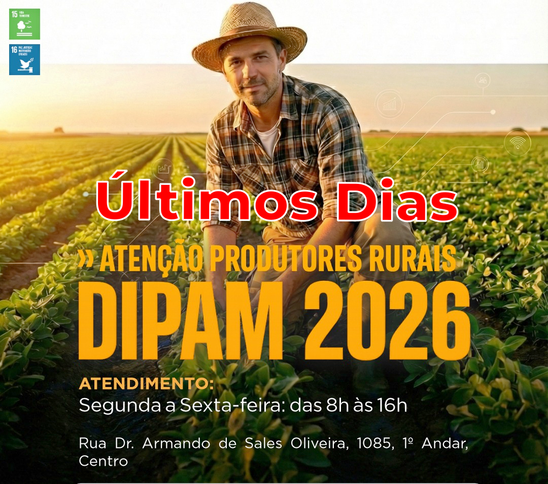 DIPAM “A” – PRAZO PARA DECLARAÇÃO TERMINA NO PRÓXIMO DIA 31 DE MARÇO