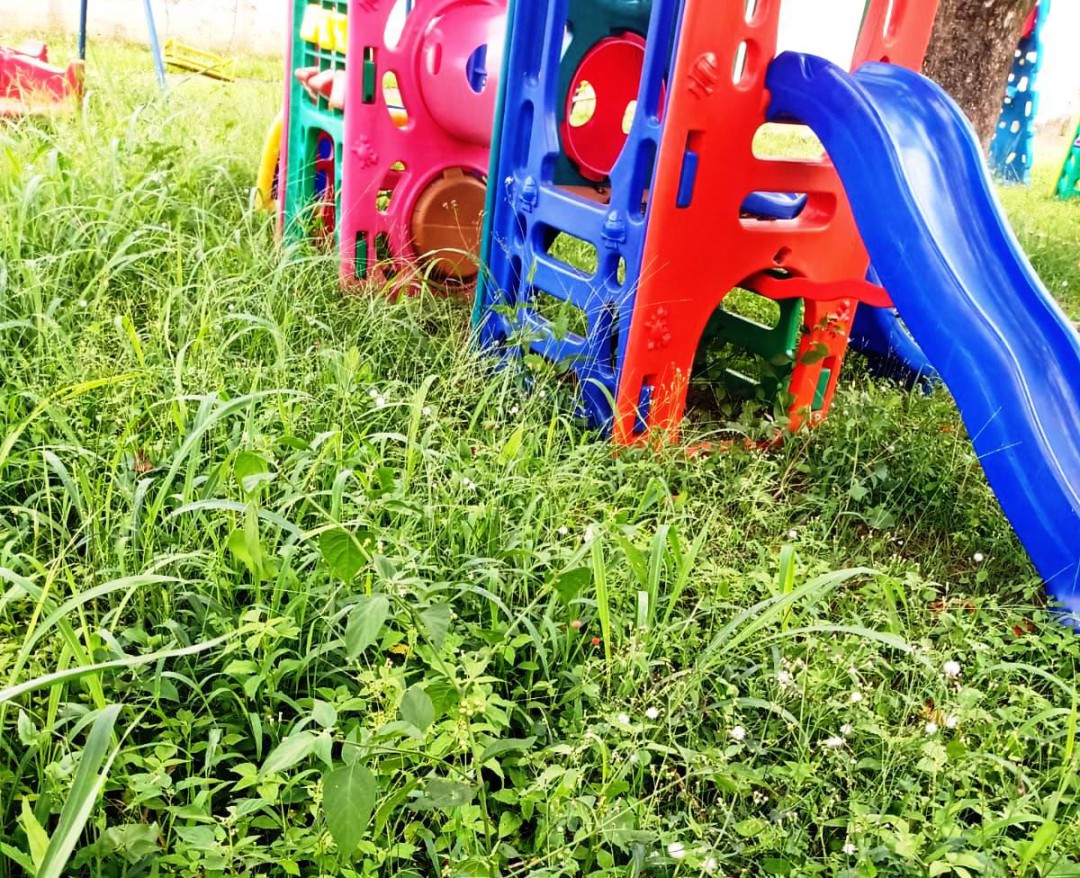 VOLTA ÀS AULAS NA REDE MUNICIPAL FOI MARCADA POR MUITAS RECLAMAÇÕES DE MATO ALTO E FALTA DE INFRAESTRUTURA NAS ESCOLAS MUNICIPAIS