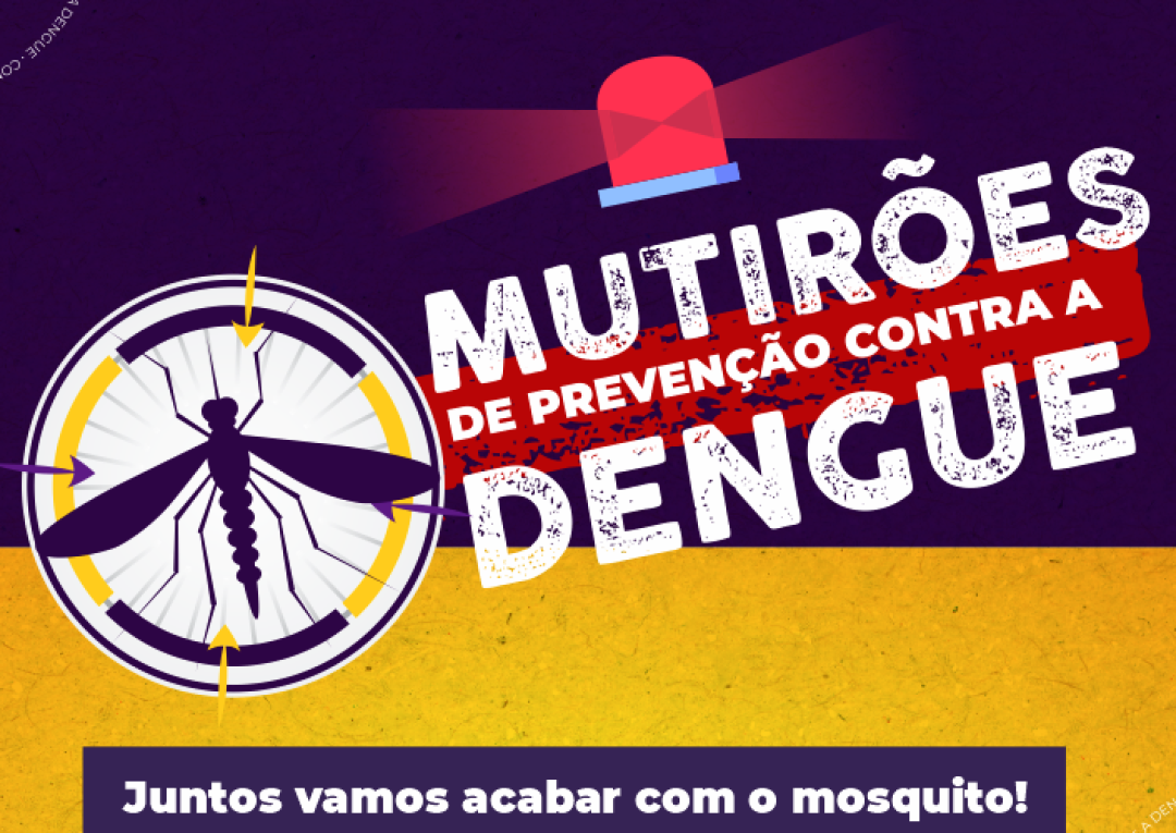 A Importância dos Mutirões contra o Aedes aegypti