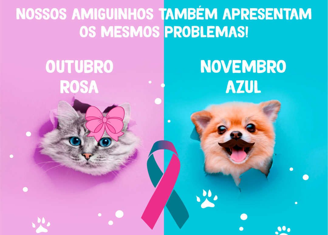 Outubro Rosa e Novembro Azul para PETs