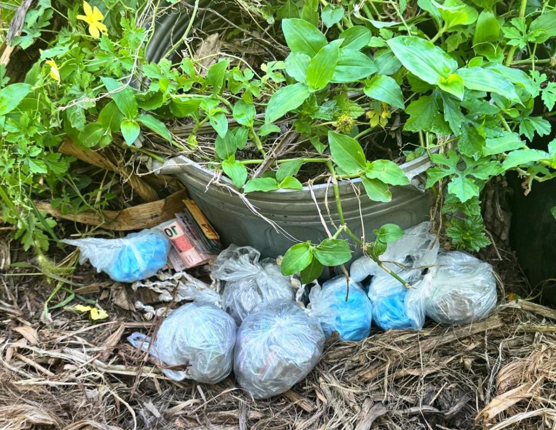 ATO INFRACIONAL DE TRÁFICO DE DROGAS DE 28/01/2026