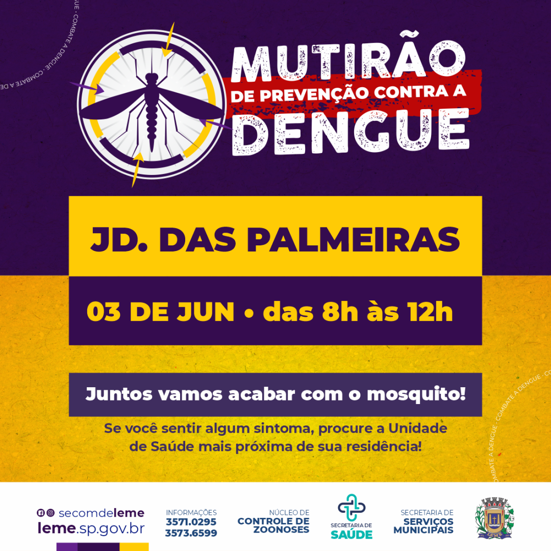 Mutirão contra o Aedes aegypti no Jardim das Palmeiras será realizado no dia 03 de Junho