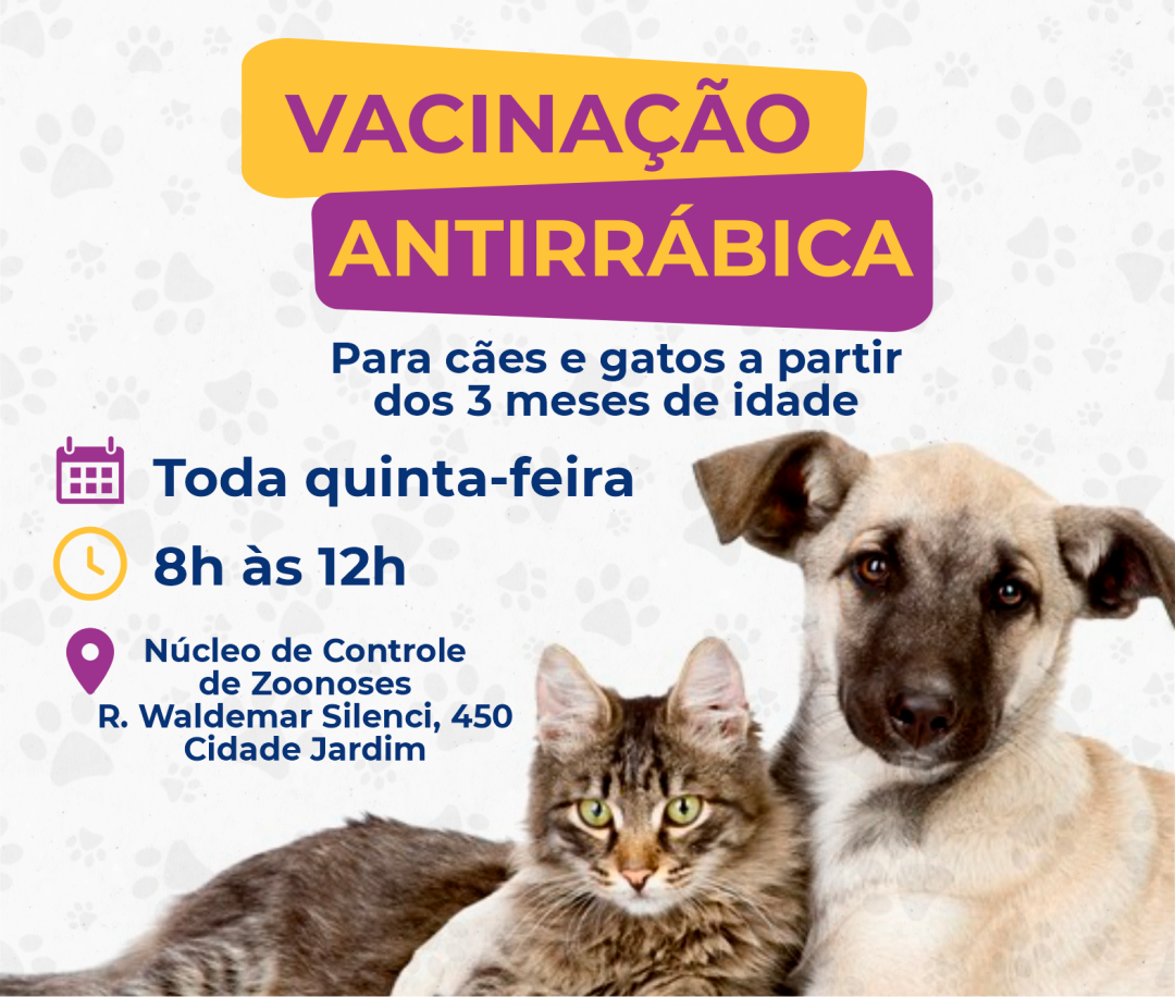 Núcleo de Zoonoses oferece vacina antirrábica para cães e gatos