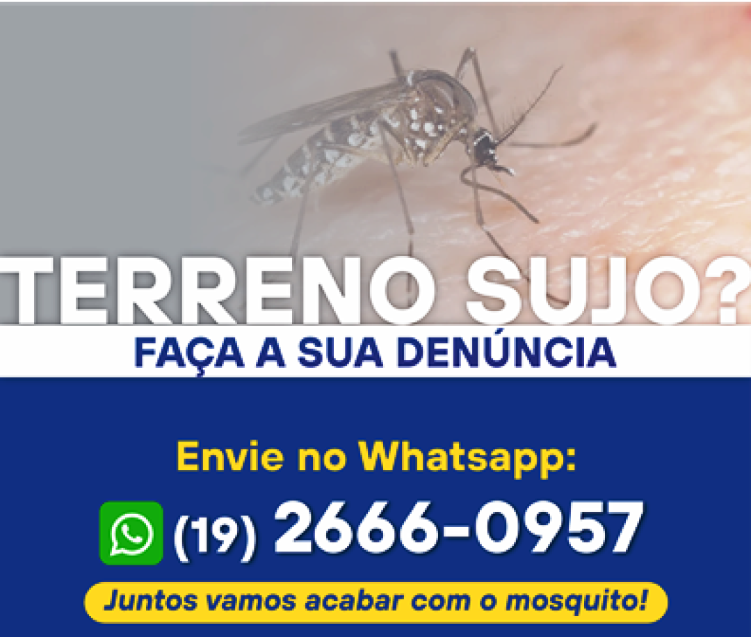 CANAL PARA DENÚNCIAS VIA WHATSAPP EXCLUSIVAMENTE PARA TERRENOS SUJOS