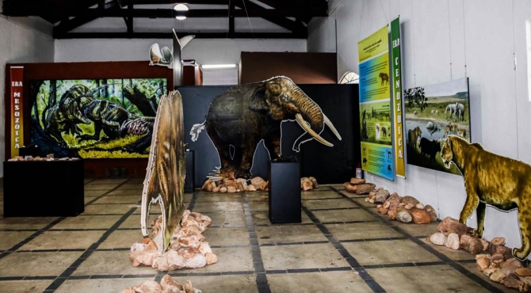 A História Natural de Leme é tema de exposição no museu histórico