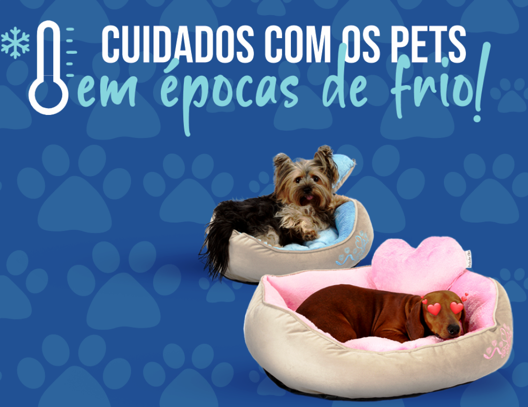 ATENÇÃO: CUIDADOS COM OS PETS EM ÉPOCAS DE FRIO