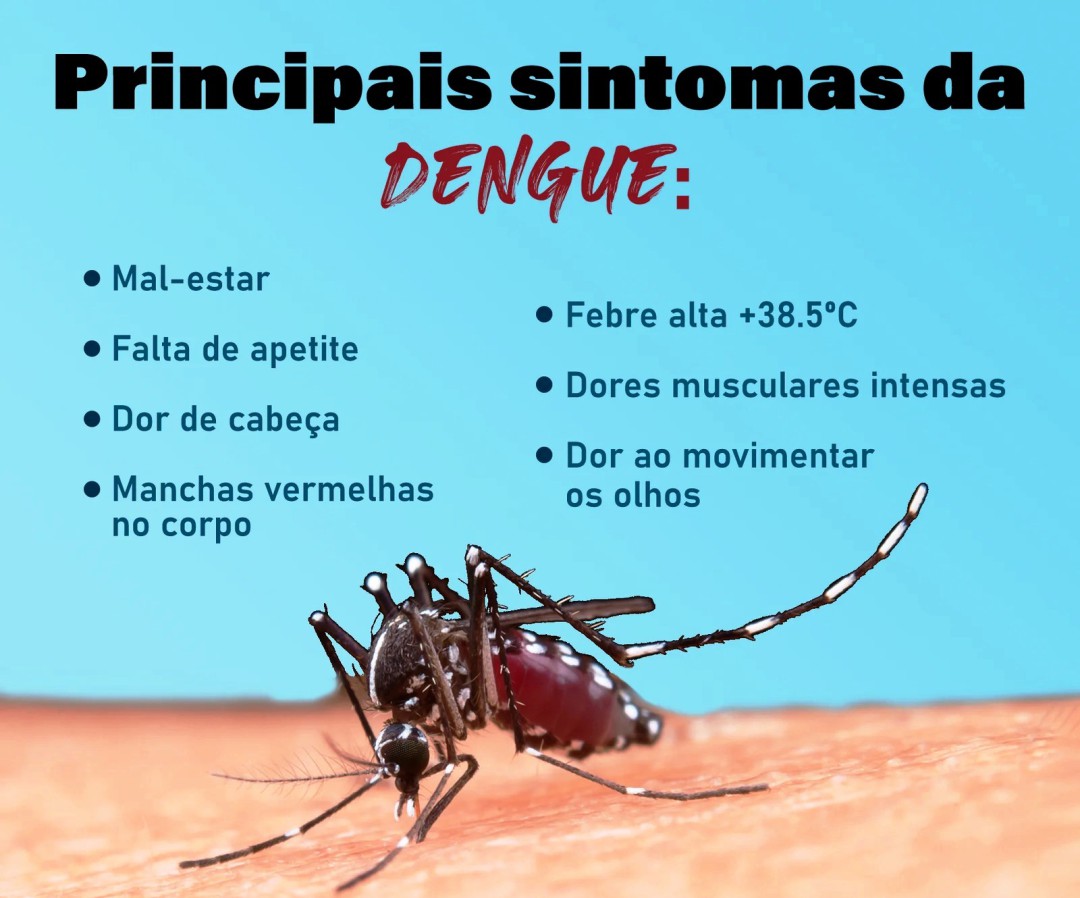 EPIDEMIA DE DENGUE PREOCUPA MUNICÍPIOS EM TODO O BRASIL