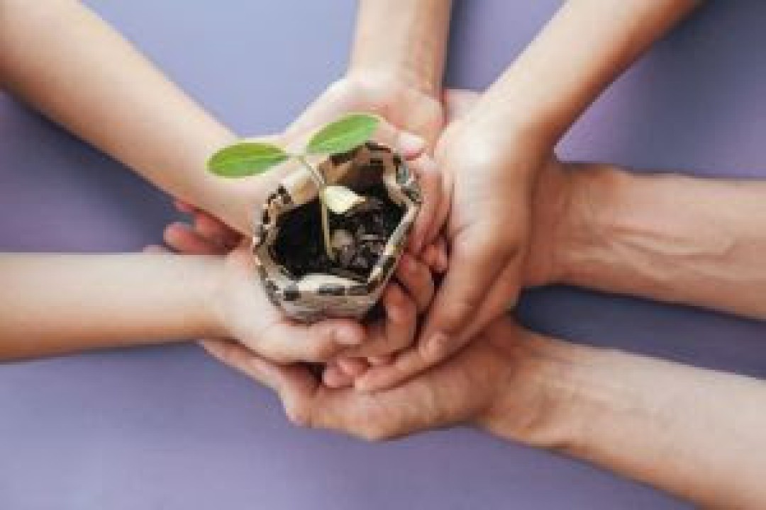 ABREE LISTA DICAS PARA PROMOVER EDUCAÇÃO AMBIENTAL EM CASA