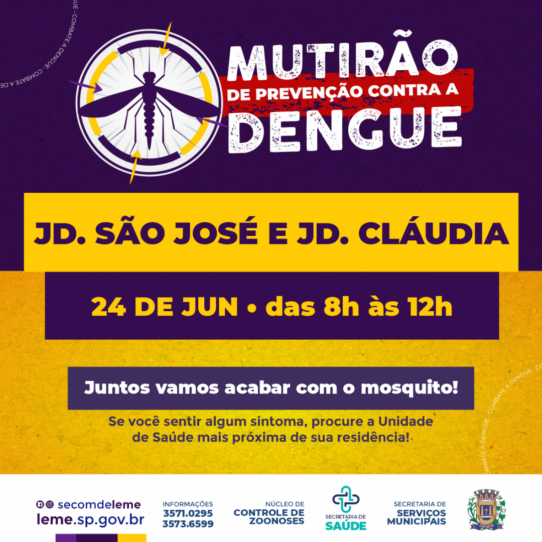 Mutirão contra o Aedes aegypti